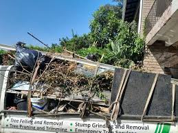 Demolition Debris Removal in Adamsville, AL